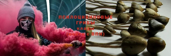 скорость Новокубанск