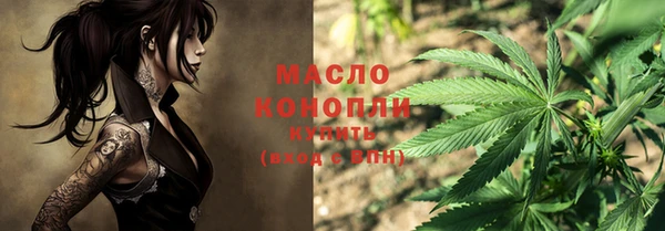 твердый Новодвинск