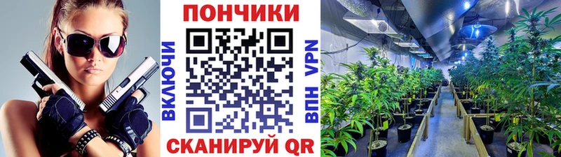 что такое наркотик  Королёв  МАРИХУАНА THC 21% 